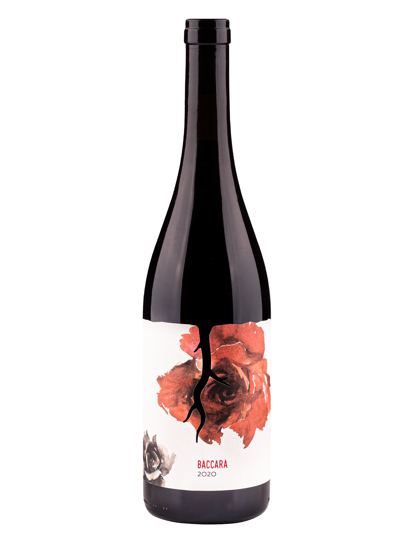 Baccara 2020